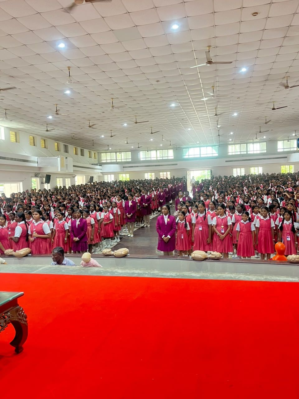 Hundreds of school students practising CPR on manikins